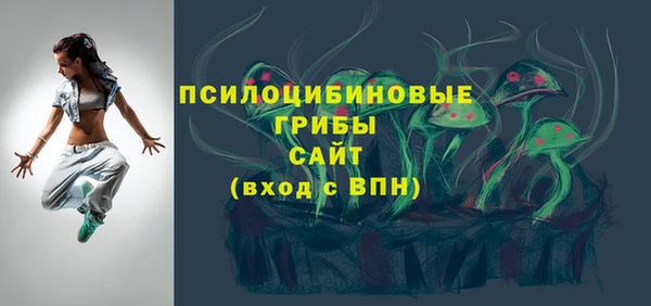 apvp Армянск