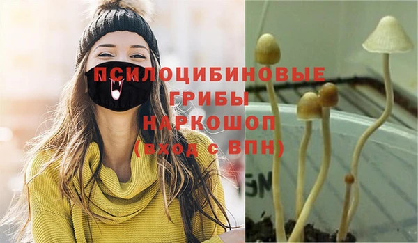 прущая мука Арсеньев
