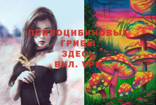 apvp Армянск