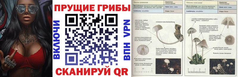 Купить где  Красавино  Галлюциногенные грибы Magic Shrooms 
